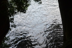 2019年6月6日箱根神社