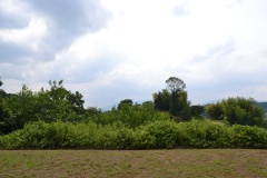 2021年8月1日於美阿志神社（明日香村）