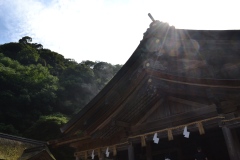 2022年7月17日出雲大社／美保神社
