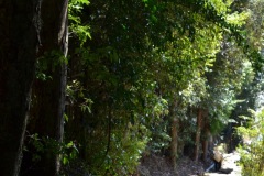 2022年3月16日熊野本宮大社