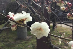 2021年2月12日太宰府天満宮