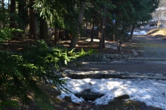 2019年4月14日北海道神宮