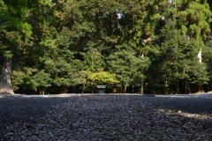 2021年11月21日瀧原宮神社