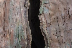 2021年11月21日瀧原宮神社