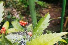 2021年2月12日太宰府天満宮