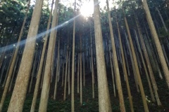 2018年8月26日天河神社