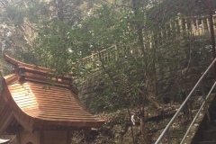 2021年2月11日幣立神宮