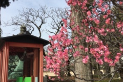 2021年2月12日太宰府天満宮