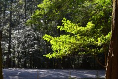 2022年2月22日伊勢神宮