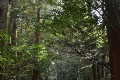 2021年11月21日瀧原宮神社