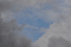 2021年7月15日出雲大社