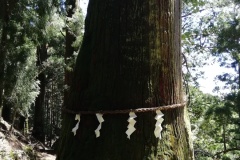2018年8月26日玉置神社