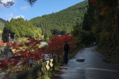 2020年11月4日天河神社