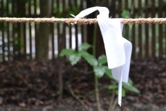 2020年7月12日伊勢神宮