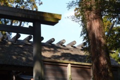 2022年2月22日伊勢神宮