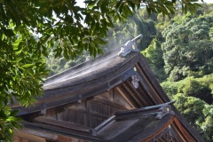 2022年7月17日出雲大社／美保神社