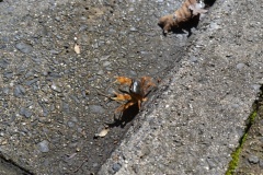 2021年10月31日貴船神社