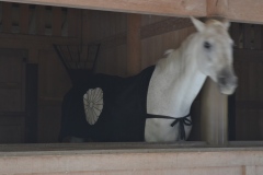 2022年12月1日伊勢神宮