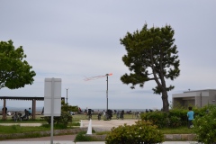 母の日/須磨海岸